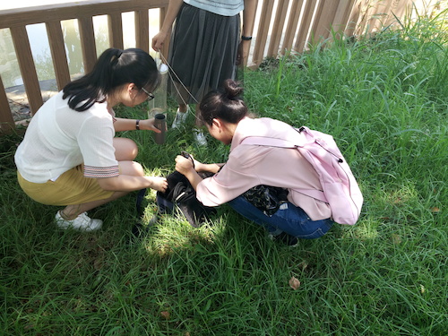 7月10日 生命与环境科学学院 赴嘉兴“青水”小分队实地考察并采样3