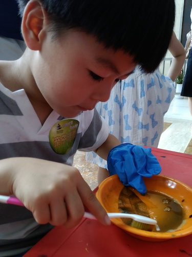 七月十号 生命与环境科学学院 B.D.服务社赴浙江自然博物馆”环保小课堂“小分队 刷刷刷，看我认真的刷叶子