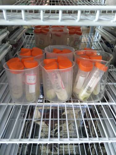 七月十三日 生命与环境科学学院  国产a片
赴杭州余杭区“五水共治”调查与研究分队社会实践小分队 酒精溶解叶绿素a 4摄氏度冷藏4小时