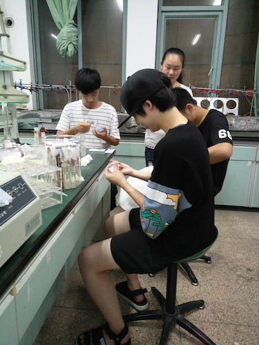 七月十三日 生命与环境科学学院  国产a片
赴杭州余杭区“五水共治”调查与研究分队社会实践小分队 总氮、总磷测定之分装试管