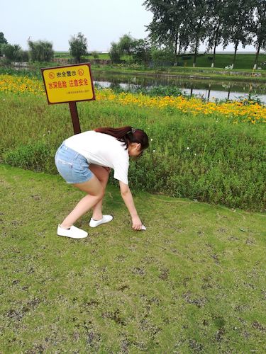 七月十四日 生命与环境科学学院西湖垃圾猎人小分队 钱塘江捡垃圾