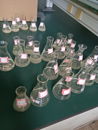 7月19日 生命与环境科学学院 赴嘉兴”青水“小分队 水样3