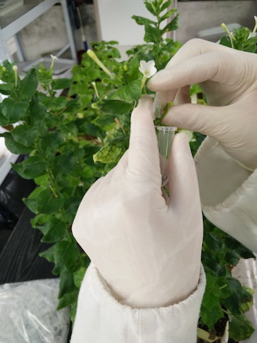 七月二十日 生命与环境科学学院国创项目“毅治毒”科研小分队 采样