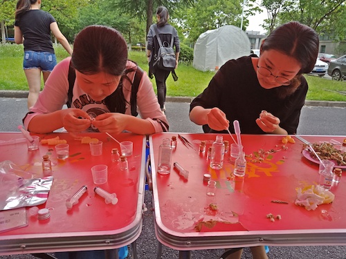 植物琥珀的制作