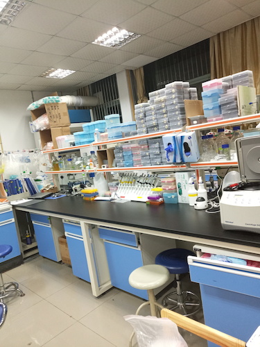 7.7 参观转基因实验室