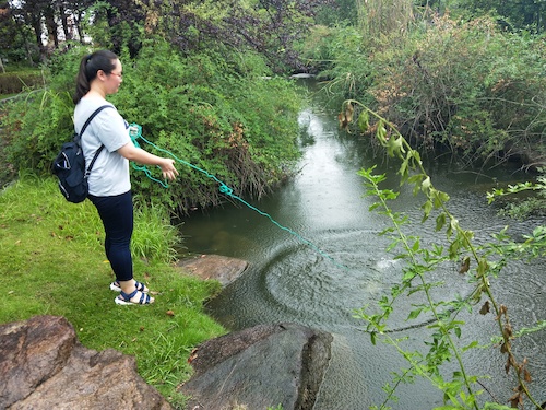 生命与环境科学学院 赴下沙大学城水质调研小分队最新报道 七月十八日1