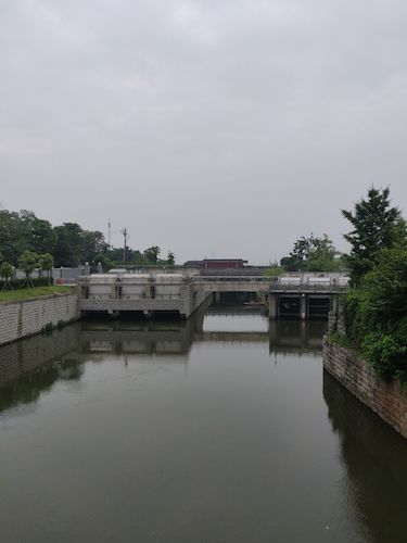 七月三日 生命与环境科学学院 赴钱塘江水域水质检测小分队 取水3