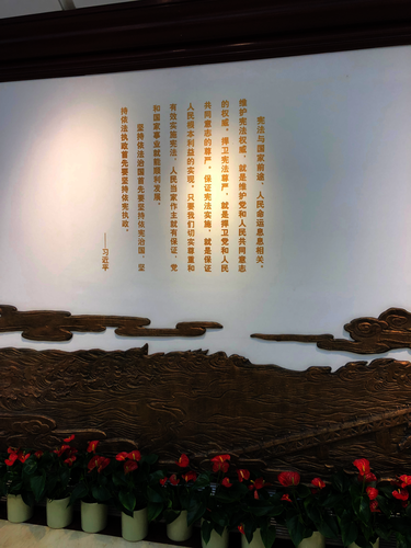 七月十二日 生命与环境科学学院 红色历史调查小分队 五四纪念馆调查 (2)