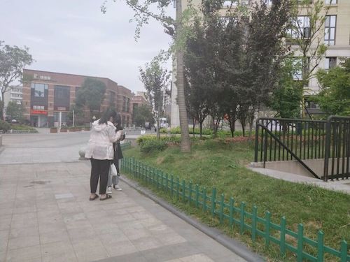 七月十五日 生命与环境科学学院 食品安全问卷调查小分队 受访者 (1)