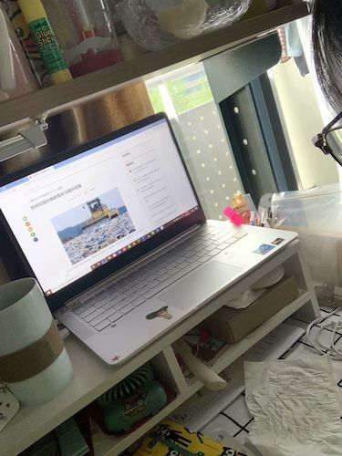 七月二日生命与环境科学学院 赴杭州”保护环境，拯救生命“小分队垃圾污染危害调查4_wps图片