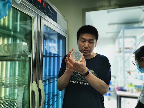 七月四日  生命与环境科学学院 “走近转基因”调研小分队 指导老师介绍转基因