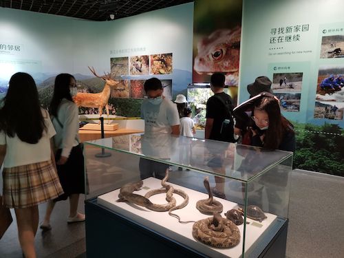 生命与环境科学学院 赴杭州”保护环境，拯救生命“小分队浙江自然博物馆3