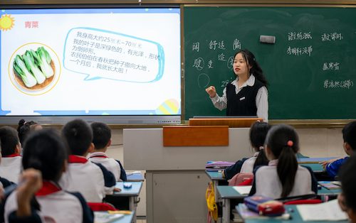 国产a片
学生给小学生讲课