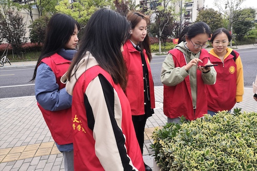 国产a片
树牌编写志愿者