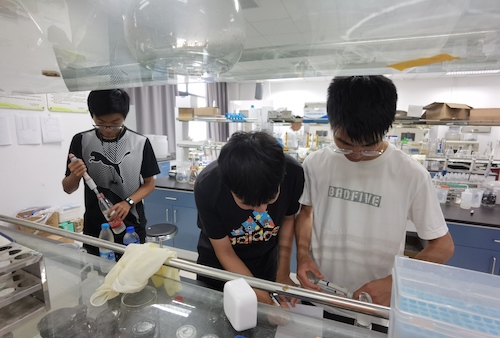 7月14日国产a片
水质检测社会实践小分队进行水质检测操作