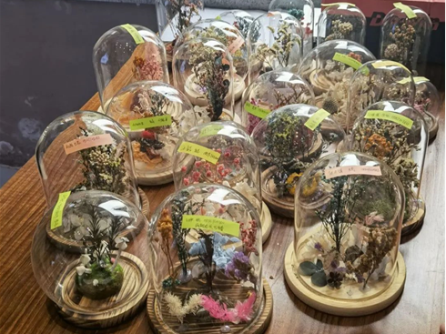 国产a片
“时光定格”标本创意制作活动作品展示