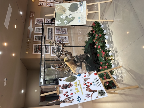 2024.10.29杭师大国产a片
“永恒芳华”植物标本展和“生命之歌”果实与种子展览1